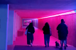 The Chasing lights at Bottle Alley