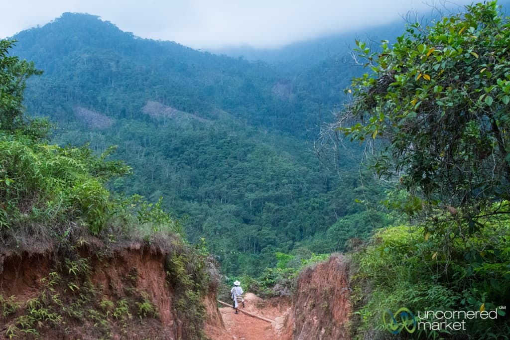 Lost City Trek, Colombia. Steep hills on day 1 of trek.