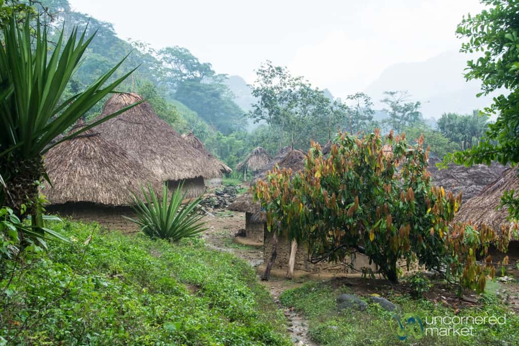 Lost City Trek, Kogi Village