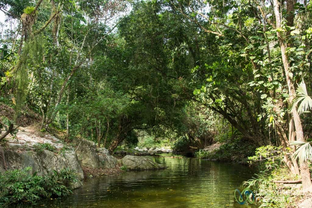 Swimming hole along the Lost City Trek, Day 1. 