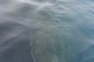 Shipwreck