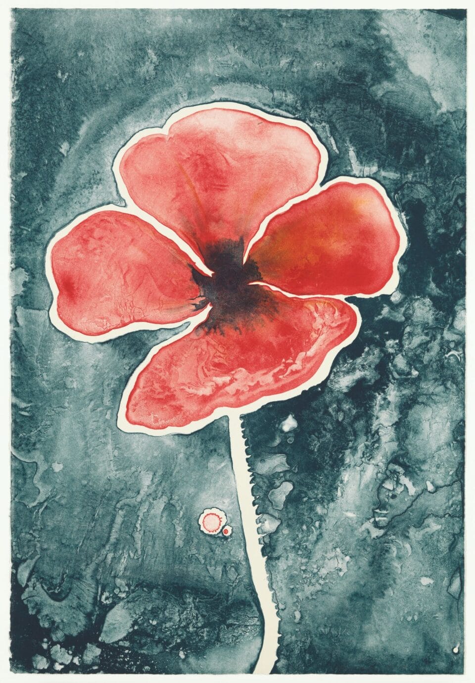 a lithograph by Ruth Asawa of a reddish pink peony against a background of dark blue