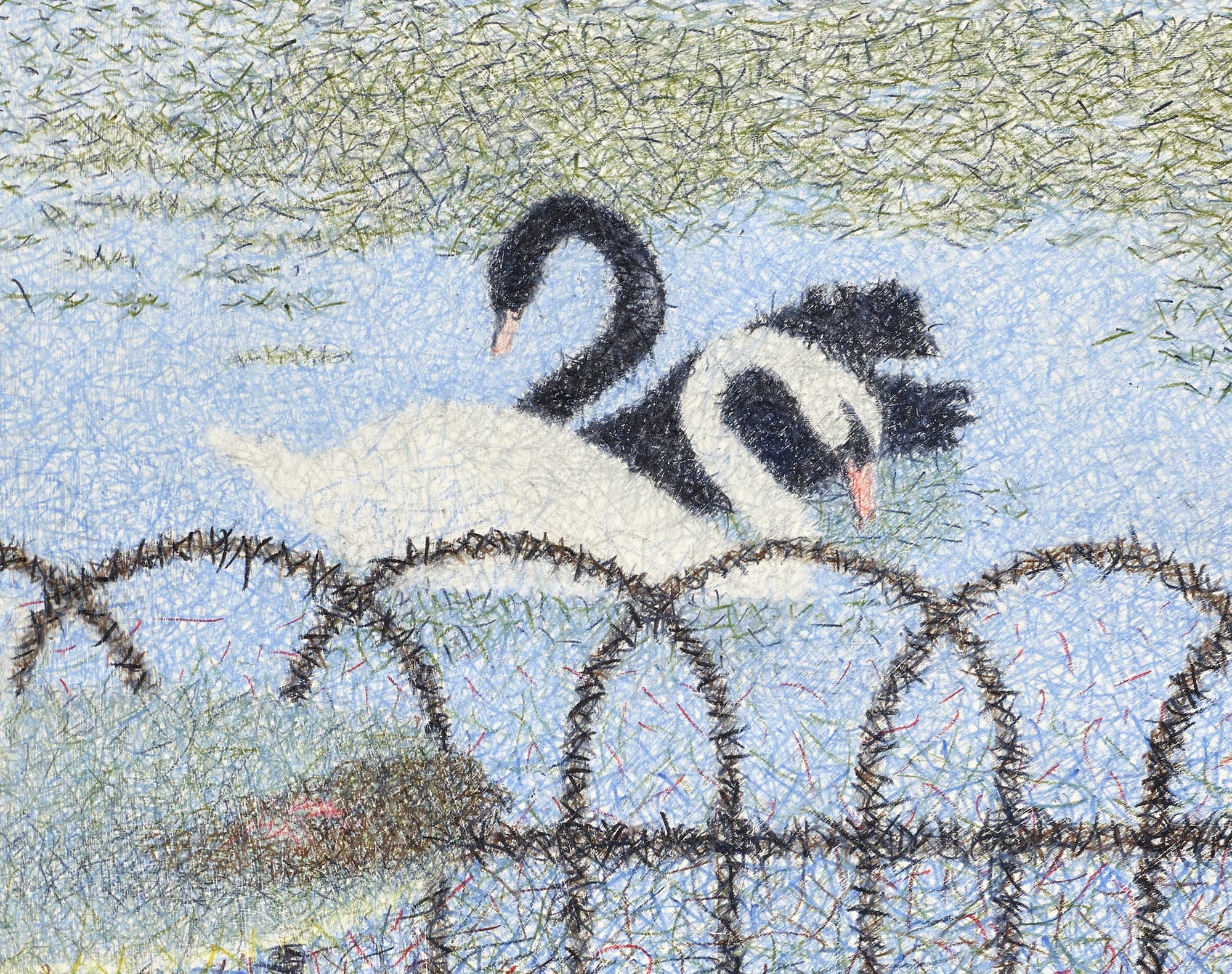 a detail of a graphite and colored pencil drawing by Tarka Kings of two swans in a lake, seen through a fence