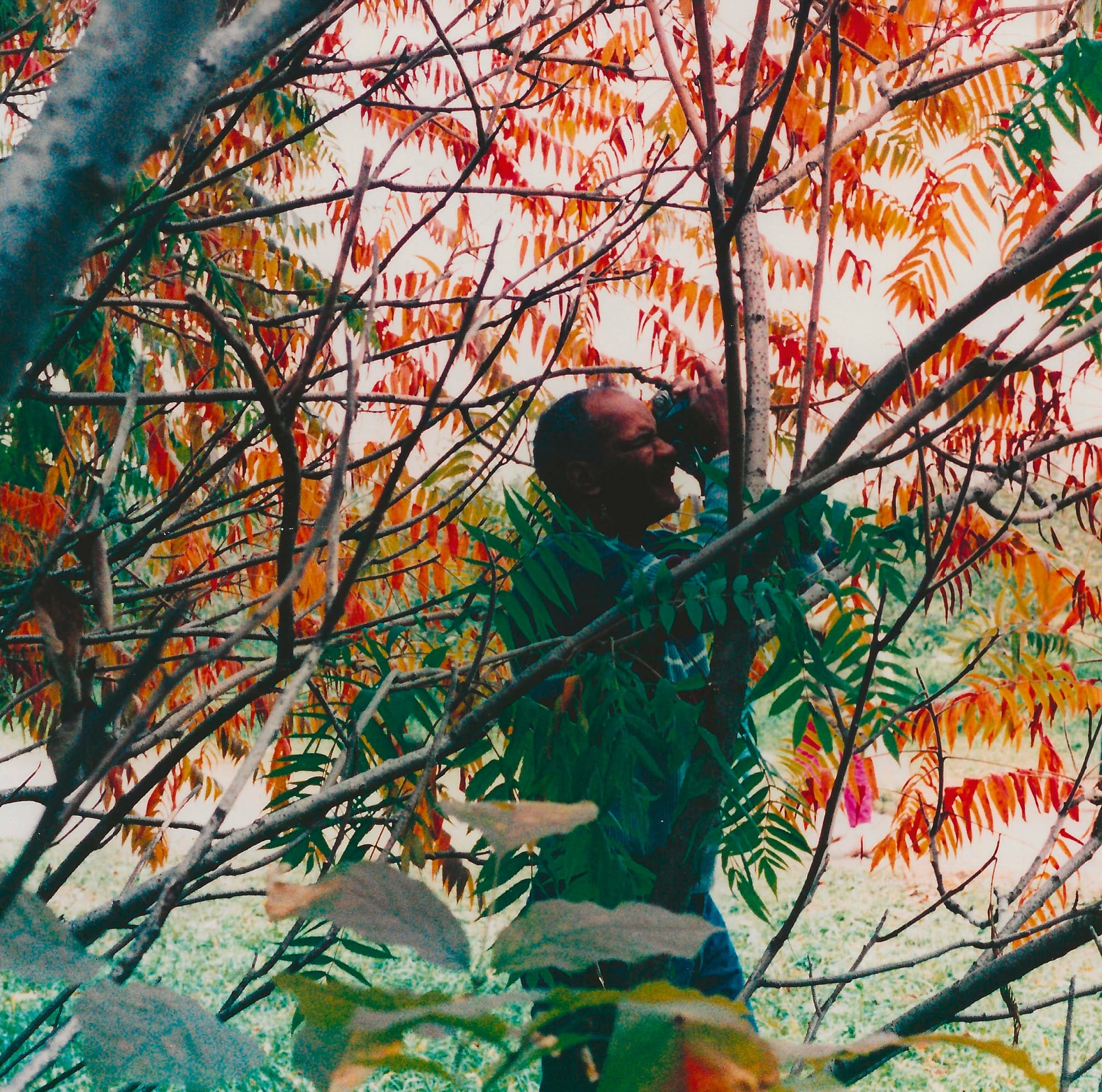 a photo by Jamel Shabbaz of a man through autumn leaves