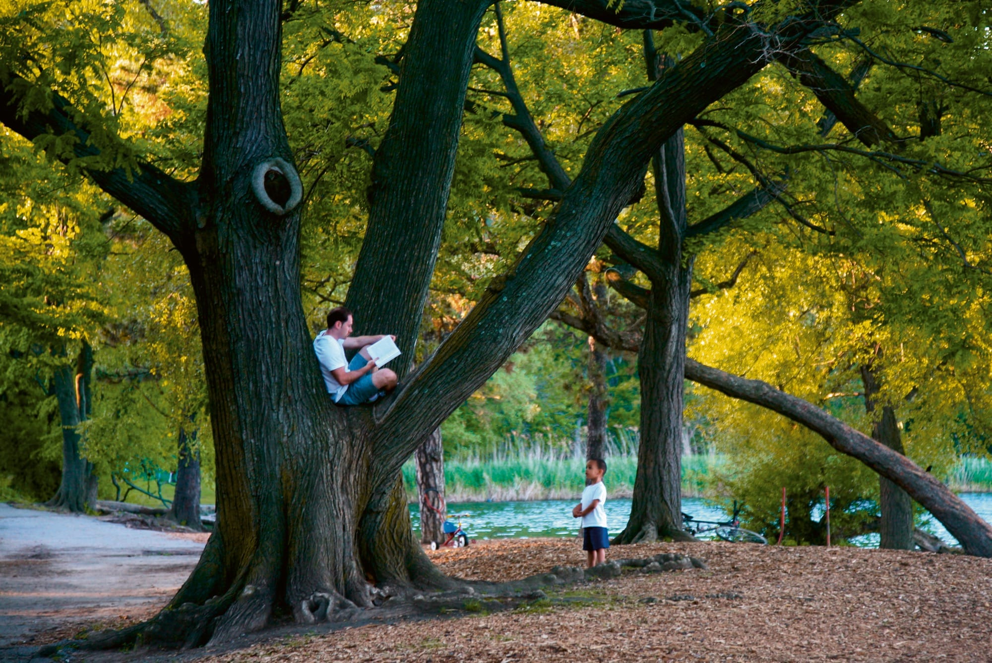 a man in a tree with a book while a child stands below in a photo by Jamel Shabazz