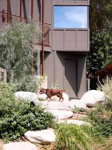 The property toals almost one-third of an acre, so the team worked with Terremoto to envision a landscape scheme for the property, which included adding a new pool. "We wanted to create a dynamic, free-flowing movement through the site that gave different zones for different activities as a continuous flow,