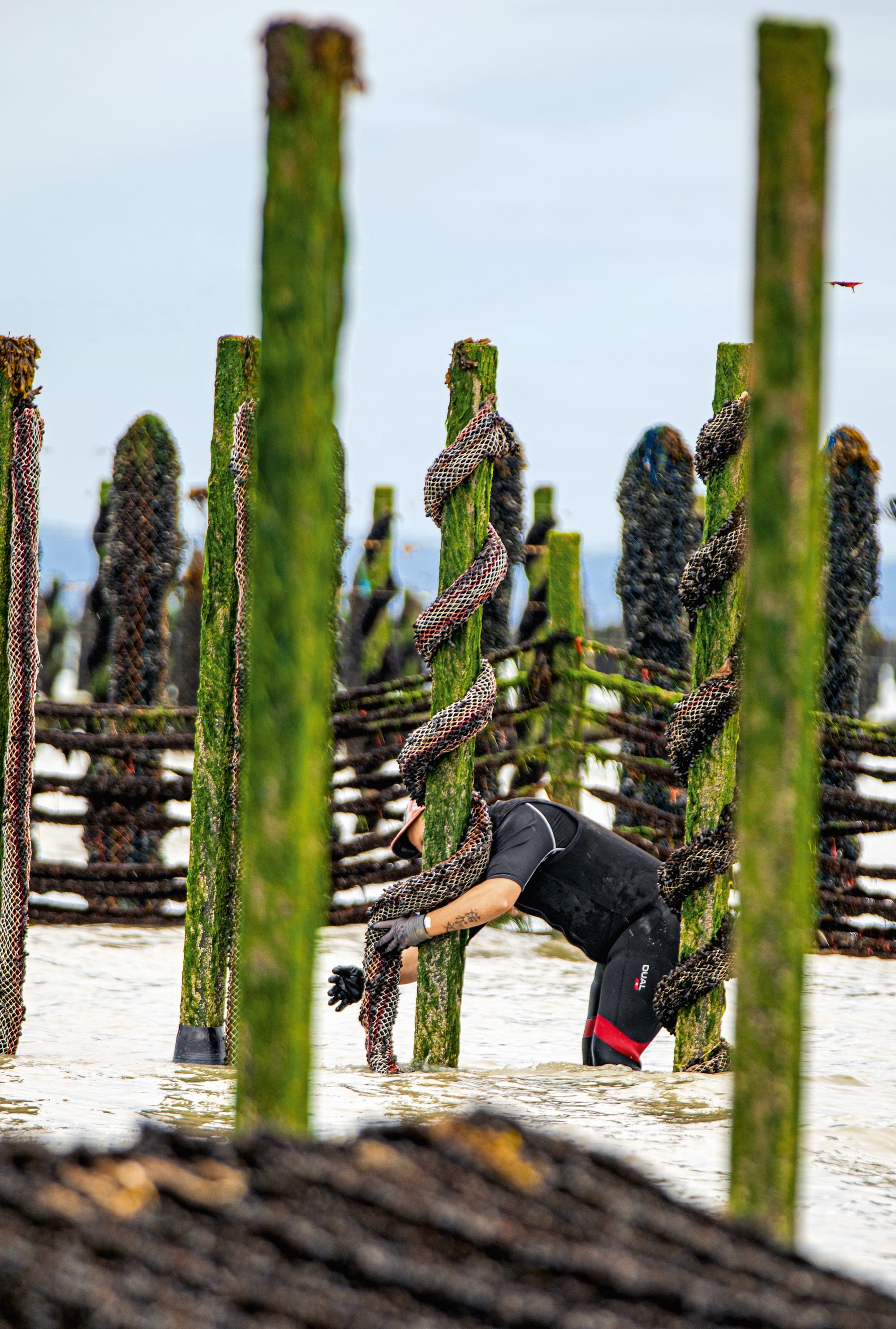 a photo by Simon Bourcier of a man wrapping a pole